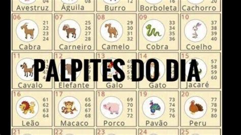 palpite do jogo do bicho do calebe para hoje - palpite kaledri para imprimir